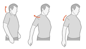 5 Ejercicios de fisioterapia para hacer en casa