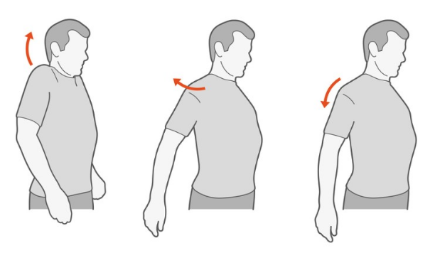 5 Ejercicios de fisioterapia para hacer en casa